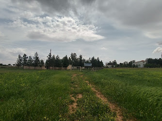 Harran Üniversitesi Kanatlı Hayvan Araştırma Ünitesi