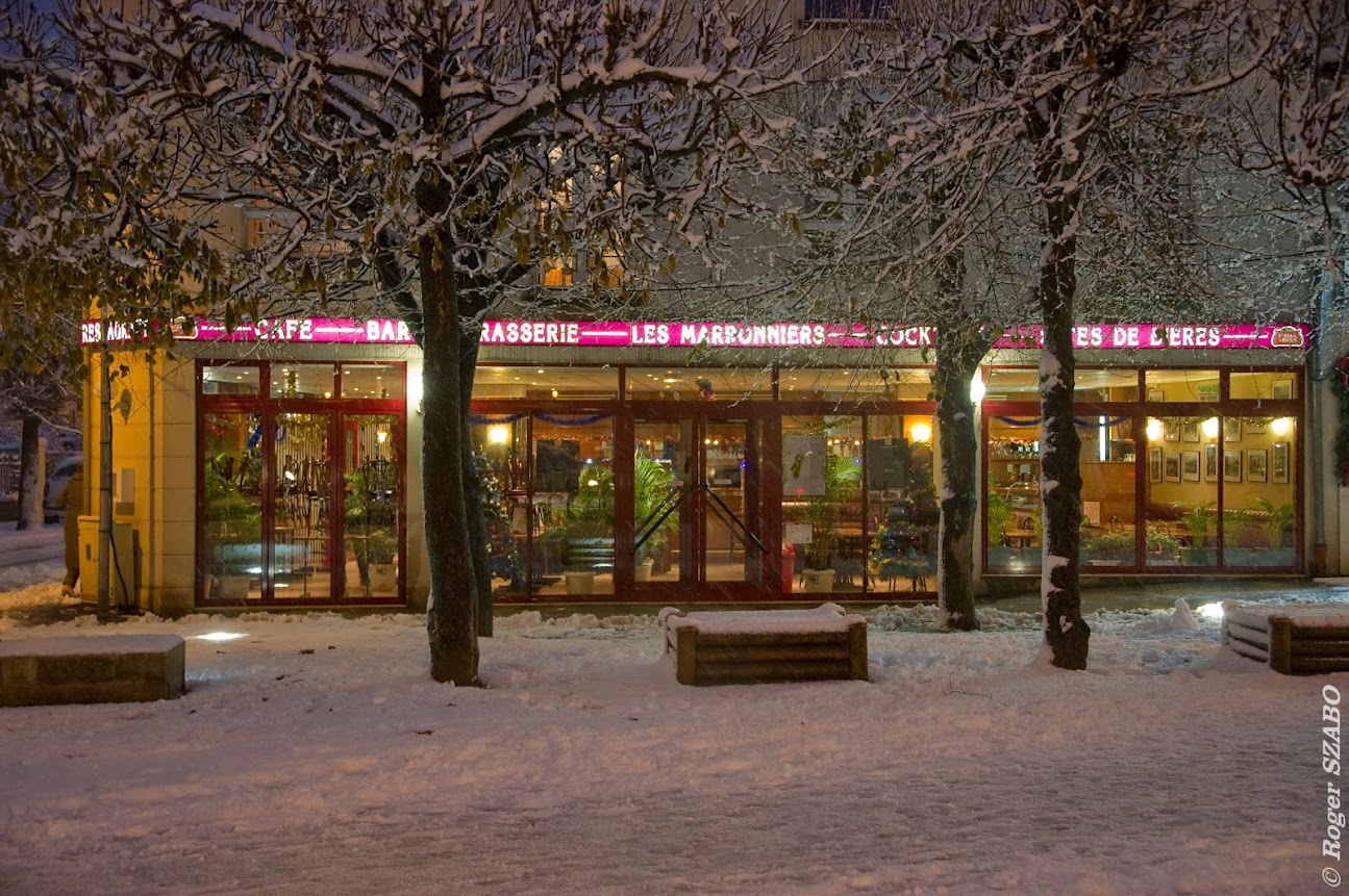 Photo de Les Marronniers