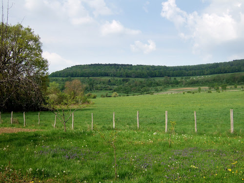 Commune de Blaisy-bas à Blaisy-Bas