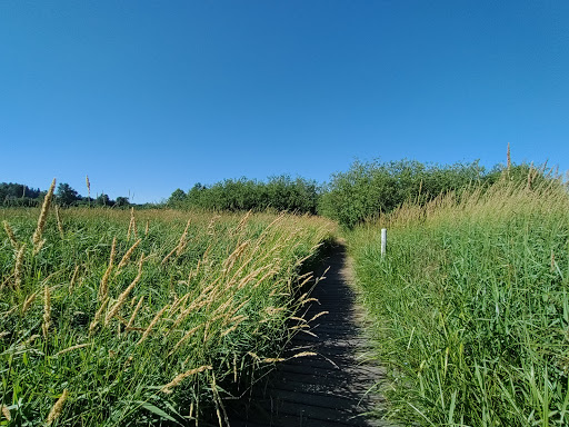 Park «N. Creek Park», reviews and photos, 1011 183rd St SE, Bothell, WA 98012, USA