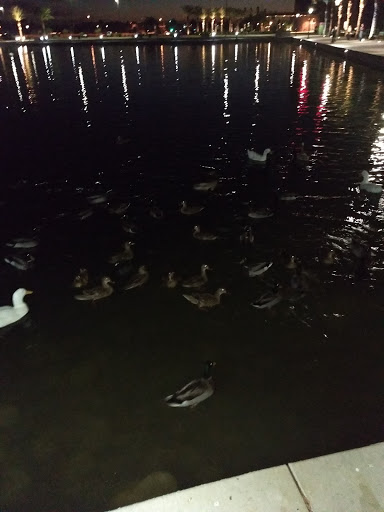 Fast Food Restaurant «Chick-fil-A», reviews and photos, 905 N Dobson Rd, Mesa, AZ 85201, USA