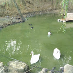 Photo n°1 de l'avis de Giovanna.a fait le 05/05/2018 à 12:51 sur le  Il Poggio degli Olivi à Passaggio