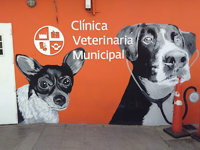 Clinica Veterinaria Municipal Berazategui