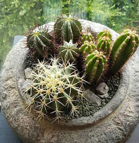 hertigfleurs.ch Telefonnummer