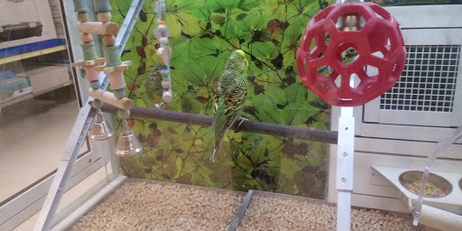 Pet Supply Store «PetSmart», reviews and photos, 1515 US-22, Watchung, NJ 07069, USA