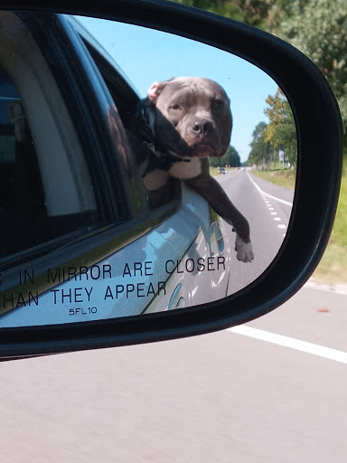 Animal Hospital «Ramey Veterinary Hospital», reviews and photos, 1009 37th St E, Tuscaloosa, AL 35405, USA