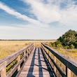 Okaloacoochee Slough State Forest