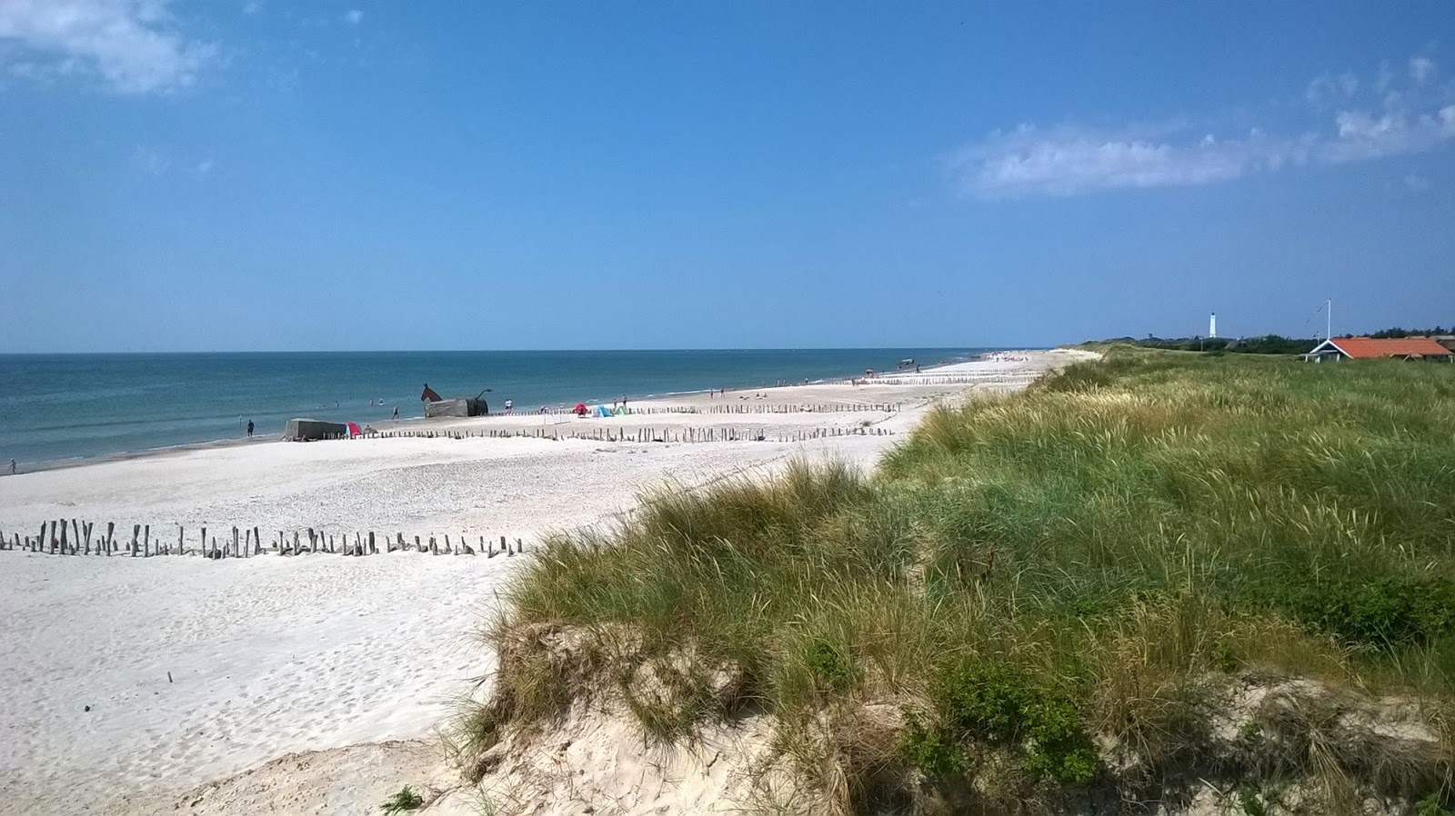 Foto von Blavandshuk Beach mit lange, gerade küste