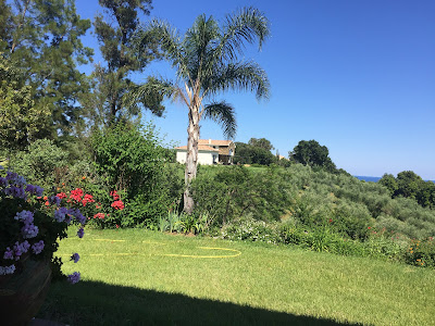 Domaine de Petrosa à Cervione
