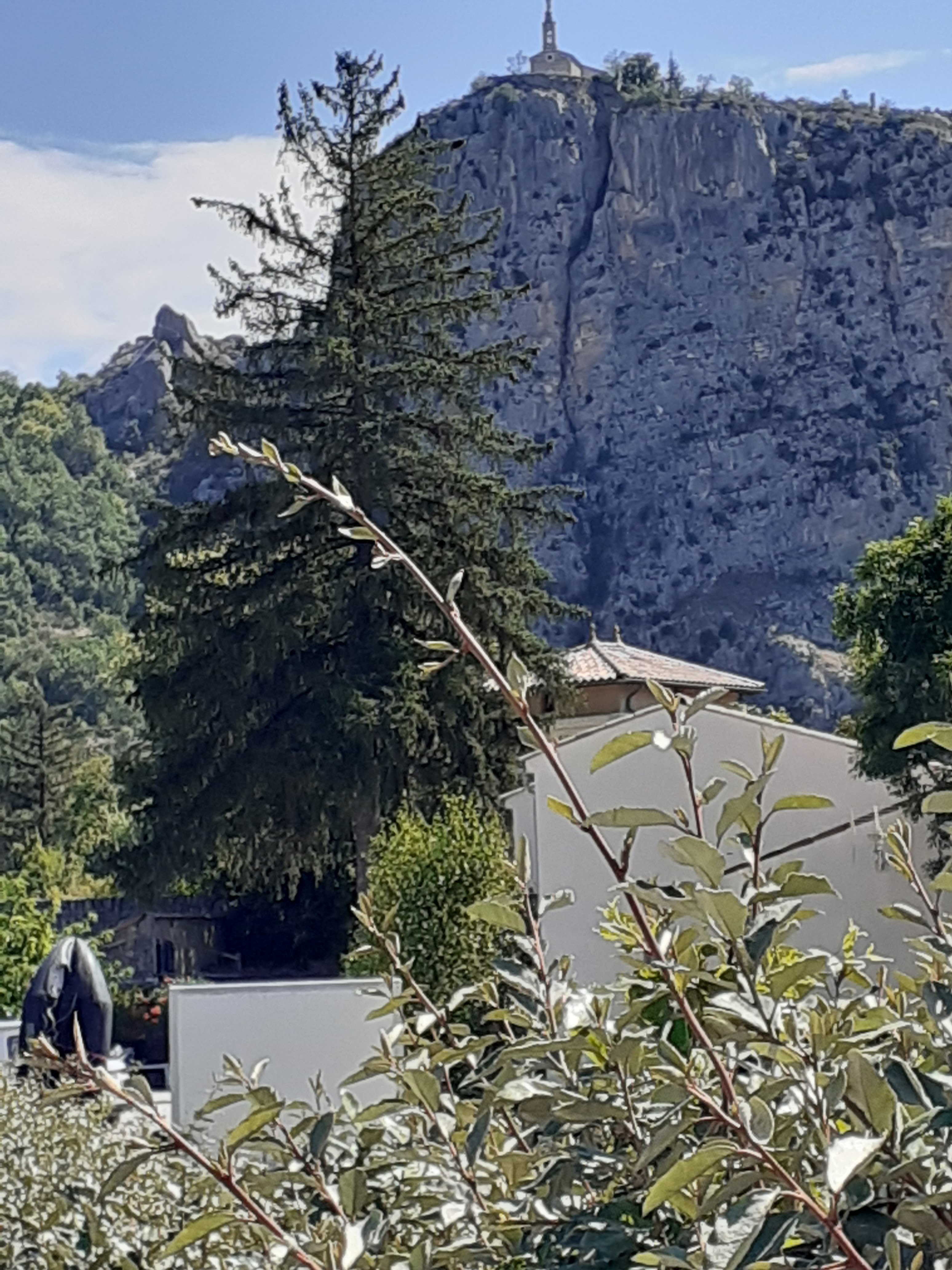 Photo n° 1 de l'avis de christy.a fait le 16/08/2023 à 20:35