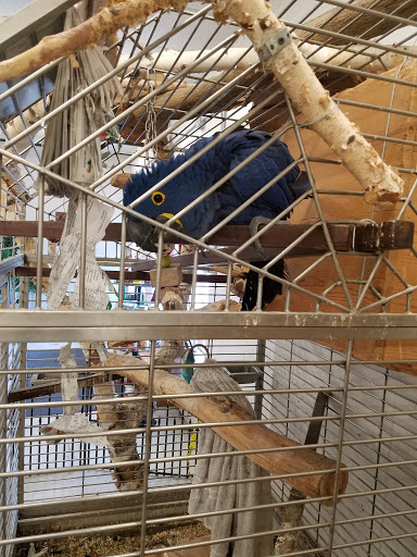 Critter Mart & More, 3 10th St NW, Watertown, SD 57201, USA, 