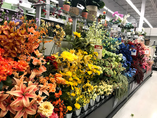 Craft Store «Michaels», reviews and photos, 164 Grand Hill Pl, Holly Springs, NC 27540, USA
