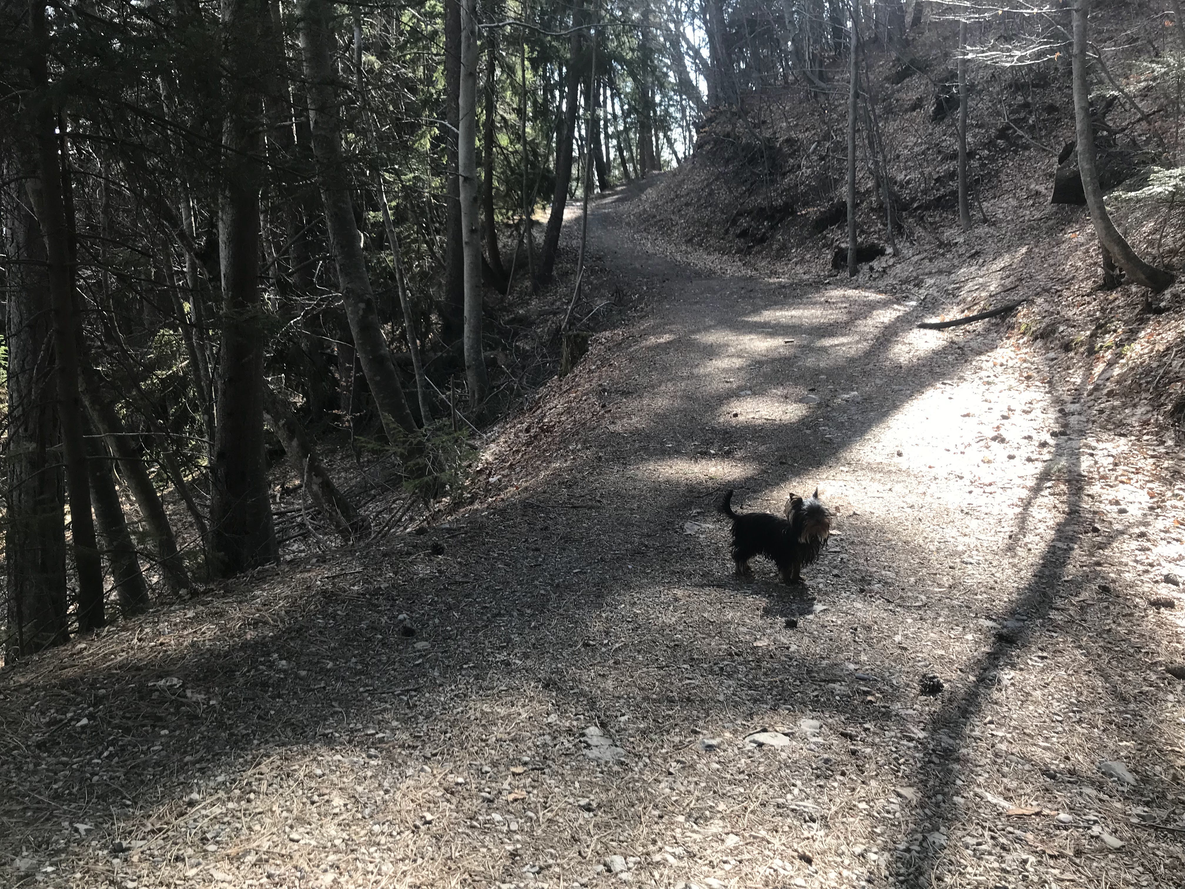 Photo n° 3 de l'avis de Catherine.a fait le 25/03/2018 à 15:10