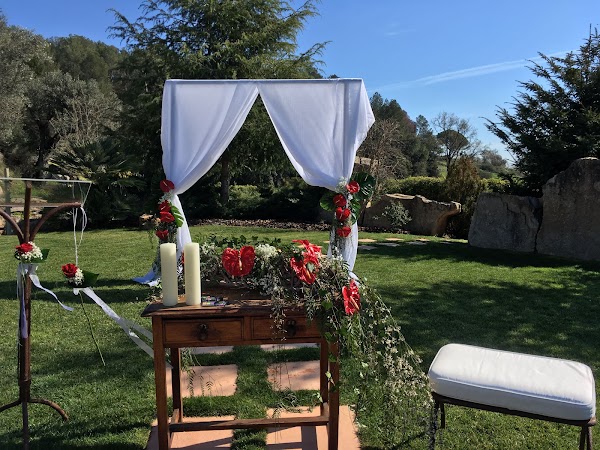 Imagen de Floristería Casamitjana (7 de 8)