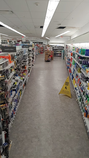 Convenience Store «Walgreens», reviews and photos, 1101 Beacon St, Newton, MA 02461, USA
