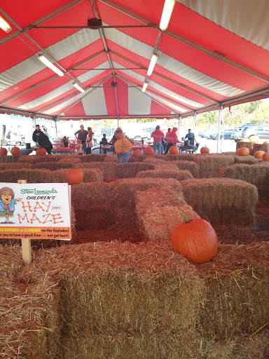 Shopping Mall «Newington Fair Shopping Ctr», reviews and photos, 3475 Berlin Turnpike, Newington, CT 06111, USA