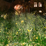 Photo n°15 de l'avis de M... fait le 06/11/2023 à 04:35 sur le  Wilmina Hotel à Berlin