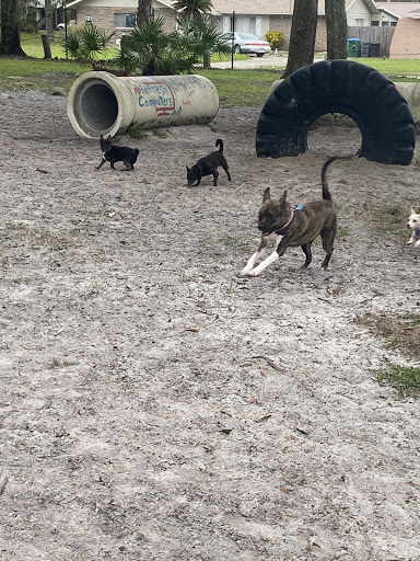 Dog Park «Arbor Dog Park», reviews and photos, 1405 N Grant St, Longwood, FL 32750, USA