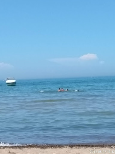 Zoo «Washington Park Zoo», reviews and photos, 115 Lake Shore Dr, Michigan City, IN 46360, USA