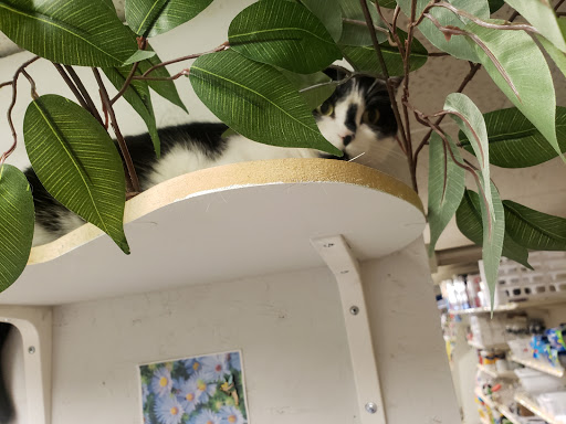 Hardware Store «Waukee Hardware & Rent It Center», reviews and photos, 380 6th St, Waukee, IA 50263, USA