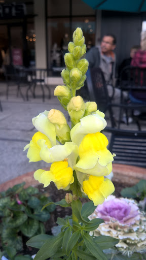 Hair Salon «Great Clips», reviews and photos, 393 Del Monte Center, Monterey, CA 93940, USA