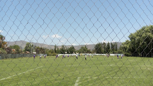 Estadio Pedro Araya pabellon - Campo de fútbol