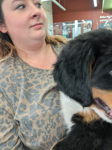 Pet Supply Store «Pet Supplies Plus», reviews and photos, 1155 Washington Pike, Bridgeville, PA 15017, USA