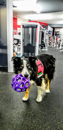 Health Club «VASA Fitness Murray», reviews and photos, 5518 South Van Winkle Expressway, Salt Lake City, UT 84117, USA