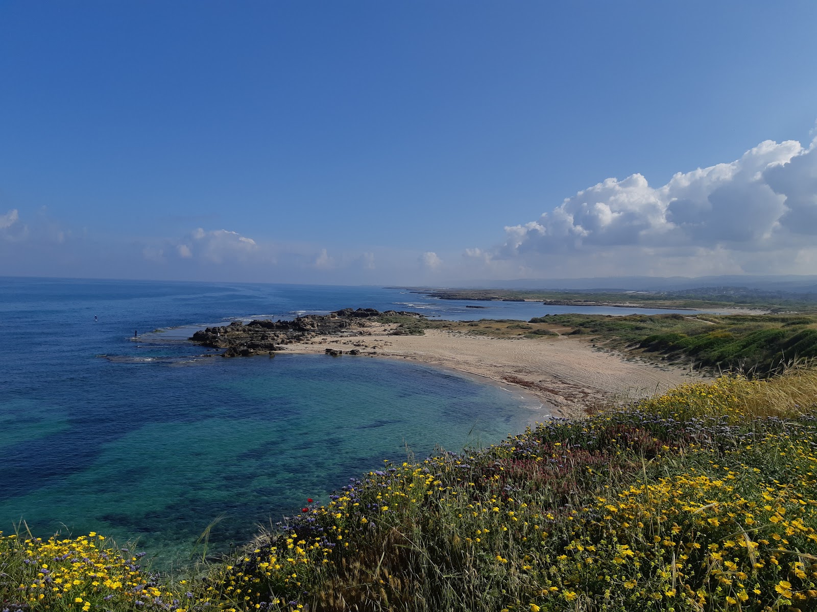 Foto de Nachsholim Beach área selvagem
