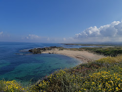 Foto di Nachsholim Beach zona selvaggia