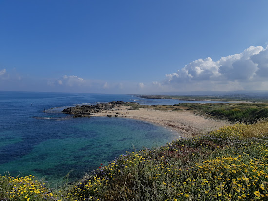 Nachsholim Beach