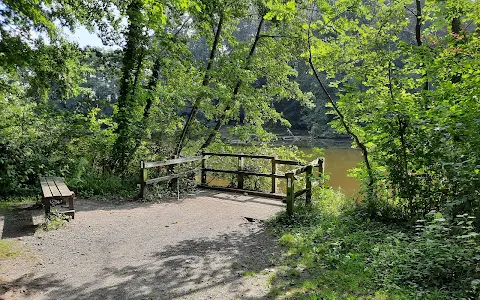 Départemental des Hautois Woods image