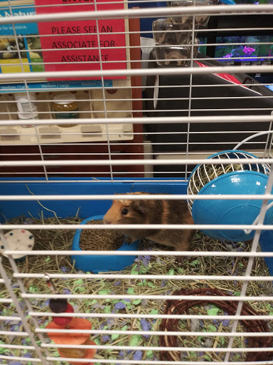 Pet Supply Store «PetSmart», reviews and photos, 5080 Riverside Dr #601, Macon, GA 31210, USA