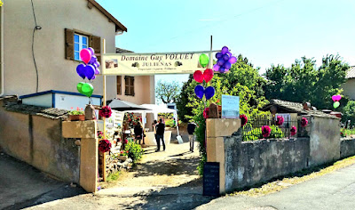 Domaine Guy VOLUET à Juliénas