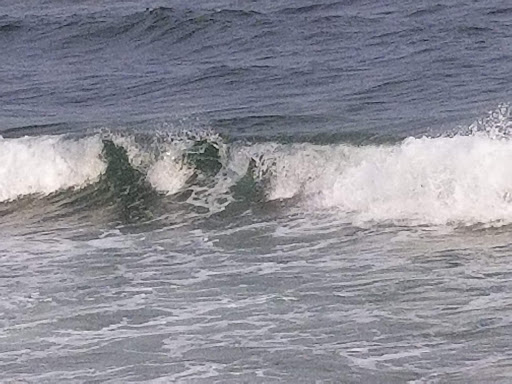 Private Golf Course «TPC Southwind», reviews and photos, 3325 Club at Southwind, Memphis, TN 38125, USA