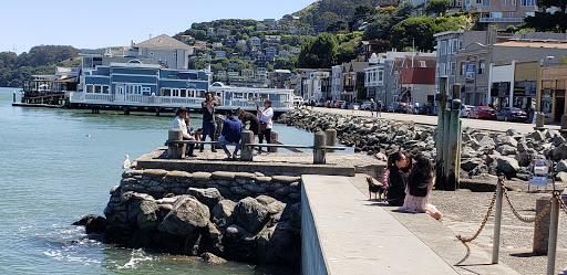 Novelty Store «Sausalito Ferry Co. Novelty Toy and Gift Store», reviews and photos, 688 Bridgeway, Sausalito, CA 94965, USA