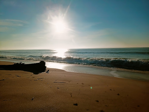 Gurayyapeta Beach photo #2