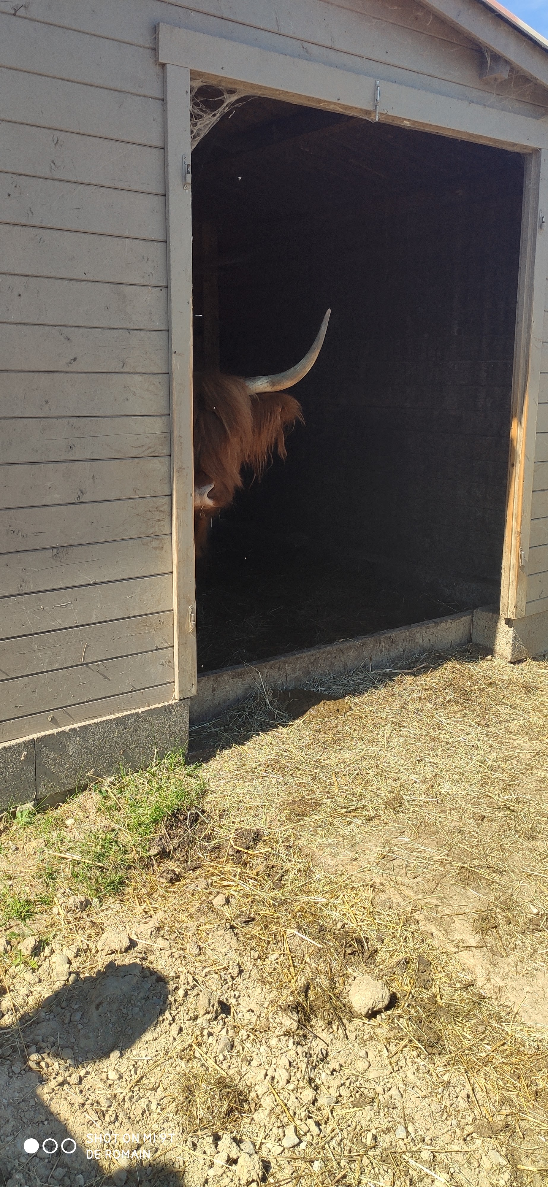 Photo n° 20 de l'avis de Romain.o fait le 12/07/2020 à 18:05