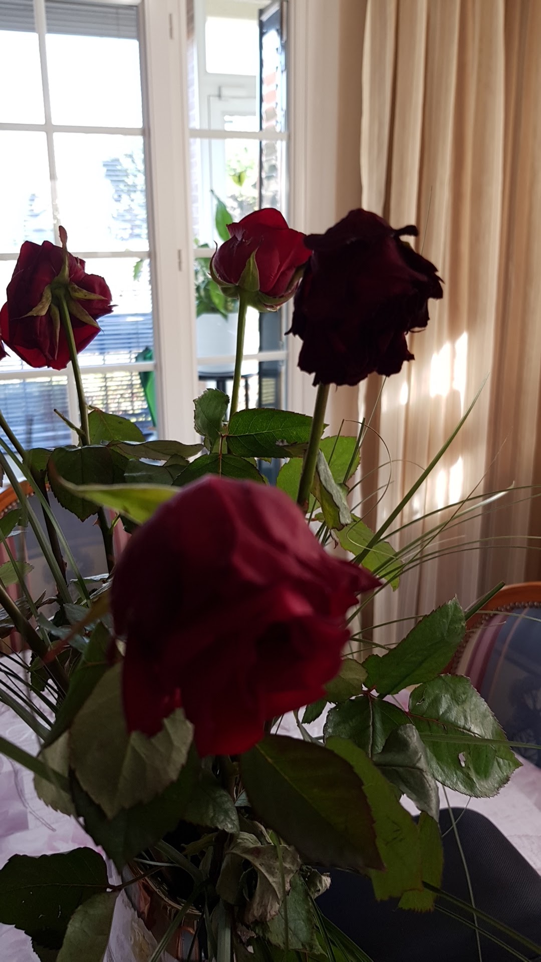 Photo n° 1 de l'avis de Jose.i fait le 17/02/2019 à 12:16