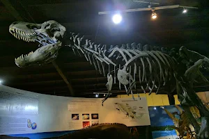 Natural History Museum of Ecatepec image