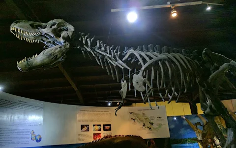 Natural History Museum of Ecatepec image
