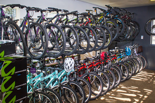 Bicycle Store «The Bicycle Center», reviews and photos, 612 Federal Rd, Brookfield, CT 06804, USA