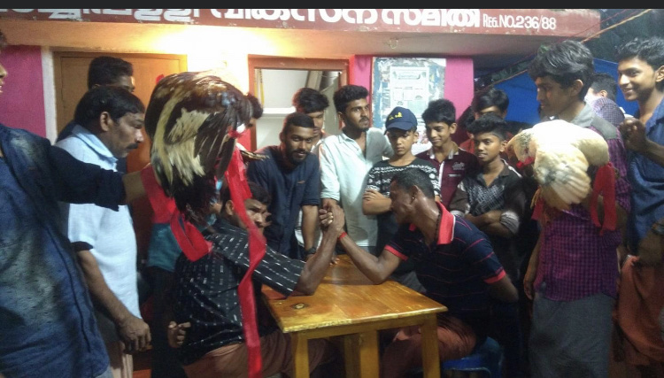 MVS Machippalli