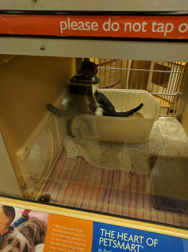 Pet Supply Store «PetSmart», reviews and photos, 1275 N Military Hwy, Norfolk, VA 23502, USA