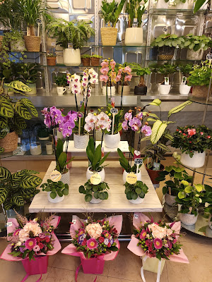Périat Jean-Claude andree fleurs à Montreuil