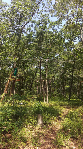 Tourist Attraction «Tree To Tree Cape May», reviews and photos, 707 U.S. 9, Cape May Court House, NJ 08210, USA