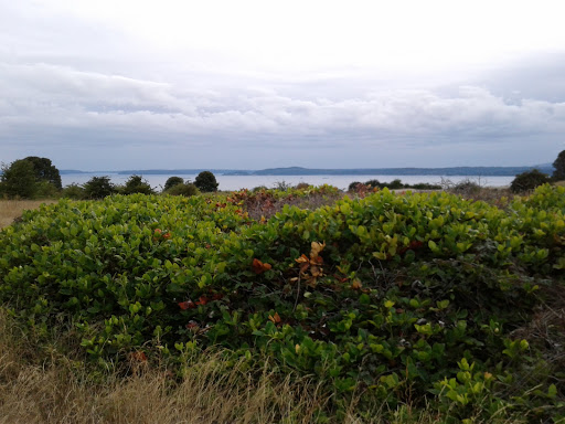 Park «Salmon Bay Park», reviews and photos, 2001 NW Canoe Pl, Seattle, WA 98117, USA