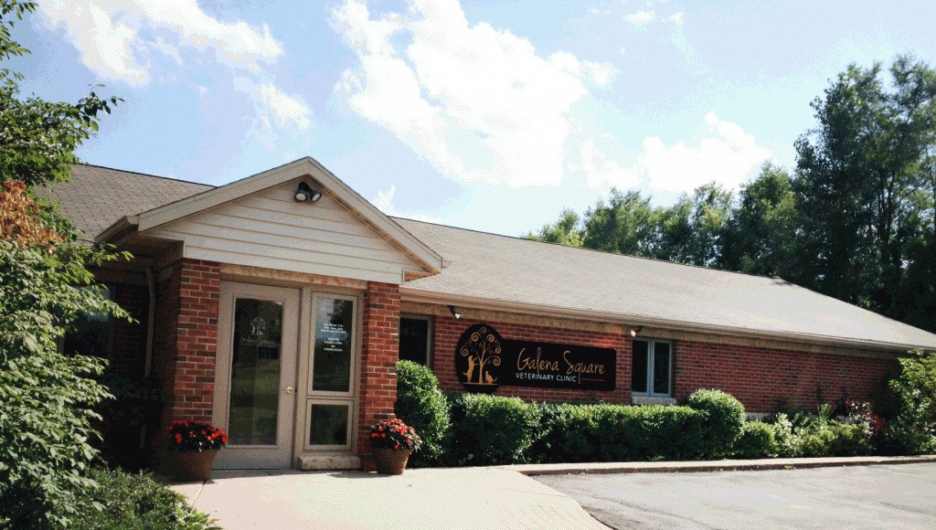 Galena Square Veterinary Clinic