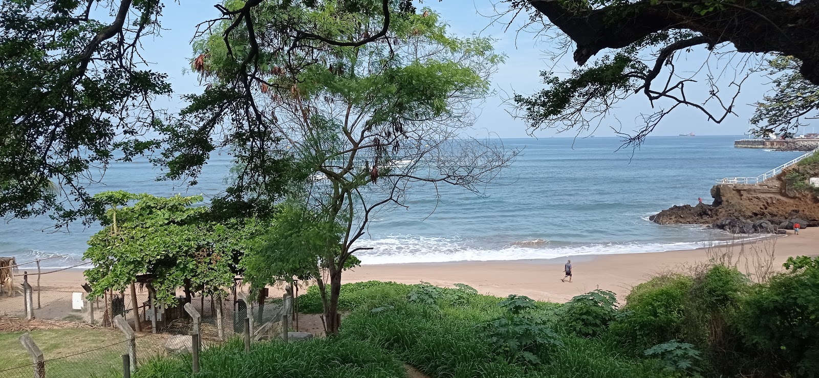 Foto de Flowers Beach área selvagem