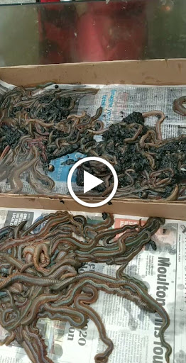 Sporting Goods Store «Bridge Street Sports», reviews and photos, 280 Bridge St, Salem, MA 01970, USA